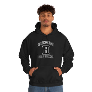 Hooded Sweatshirt - Hammonton