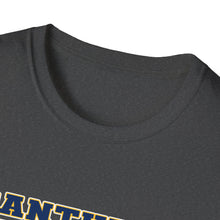 Unisex Softstyle T-Shirt - Franklin Regional Devo Panthers Ice Hockey