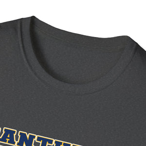 Unisex Softstyle T-Shirt - Franklin Regional Devo Panthers Ice Hockey