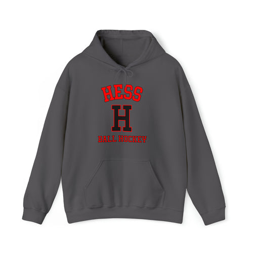 Unisex Heavy Blend™ Hooded Sweatshirt Hess