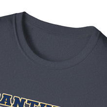 Unisex Softstyle T-Shirt - Franklin Regional Devo Panthers Ice Hockey