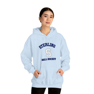 Fan Gear Hoodie - STERLING