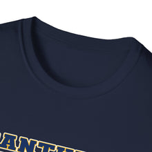 Unisex Softstyle T-Shirt - Franklin Regional Devo Panthers Ice Hockey