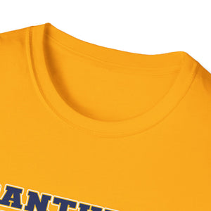 Unisex Softstyle T-Shirt - Franklin Regional Devo Panthers Ice Hockey