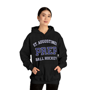 Unisex Heavy Blend™ Hooded Sweatshirt St Augustine Prep HSBH