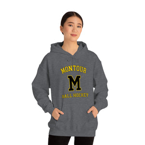 Unisex Heavy Blend™ Hooded Sweatshirt Montour HSBH