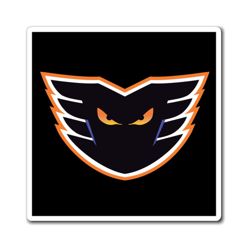 Magnets - DELCO PHANTOMS