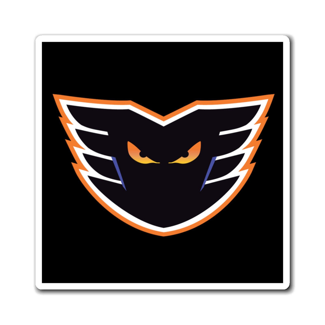 Magnets - DELCO PHANTOMS