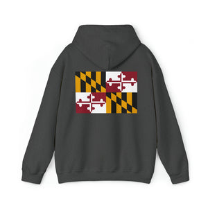 CFTowson - Unisex Heavy Blend™ Hooded Sweatshirt