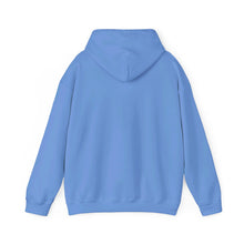 Unisex Heavy Blend™ Hooded Sweatshirt CSHL