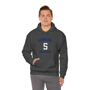 Fan Gear Hoodie - STERLING
