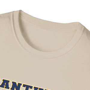 Unisex Softstyle T-Shirt - Franklin Regional Devo Panthers Ice Hockey