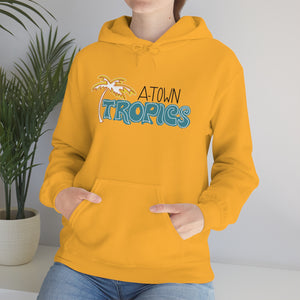 Tropics Unisex Heavy Blend™ Hooded Sweatshirt