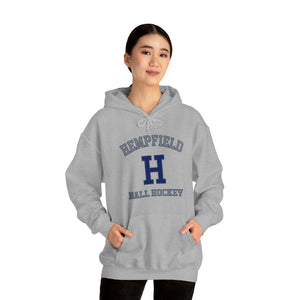 Unisex Heavy Blend™ Hooded Sweatshirt Hempfield HSBH