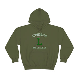 Unisex Heavy Blend™ Hooded Sweatshirt Livingston
