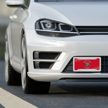 Hired Guns License Plate 2