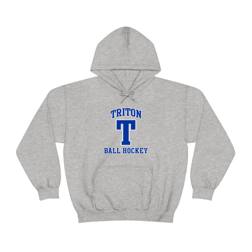 Unisex Heavy Blend™ Hooded Sweatshirt - Triton