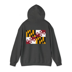 CFTowson - Unisex Heavy Blend™ Hooded Sweatshirt