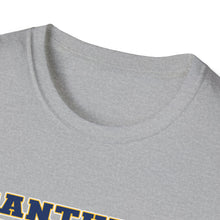 Unisex Softstyle T-Shirt - Franklin Regional Devo Panthers Ice Hockey