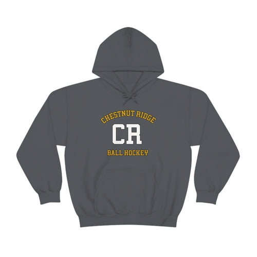 Heavy Blended Hoodie - Chestnut Ridge