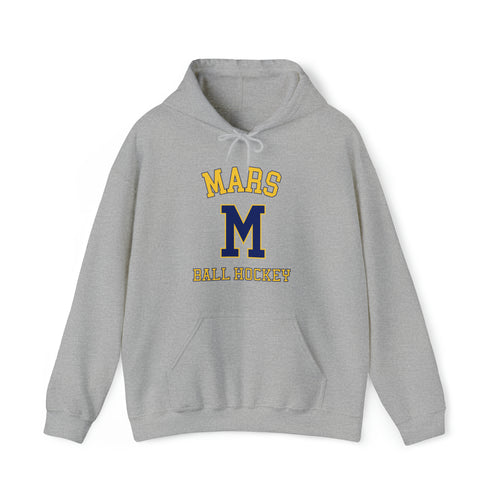 Unisex Heavy Blend™ Hooded Sweatshirt Mars HSBH