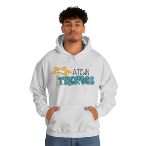 Tropics Unisex Heavy Blend™ Hooded Sweatshirt