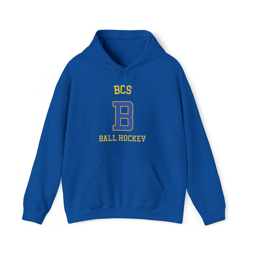 Unisex Heavy Blend™ Hooded Sweatshirt BCS