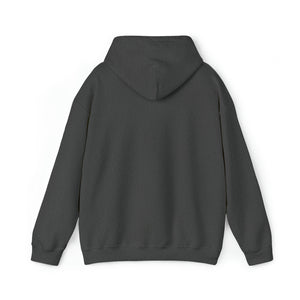 Fan Gear Hoodie - STERLING