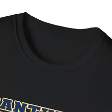 Unisex Softstyle T-Shirt - Franklin Regional Devo Panthers Ice Hockey