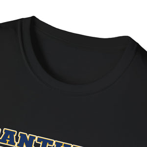 Unisex Softstyle T-Shirt - Franklin Regional Devo Panthers Ice Hockey