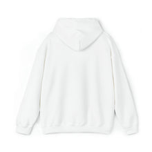 Unisex Heavy Blend™ Hooded Sweatshirt AUDUBON