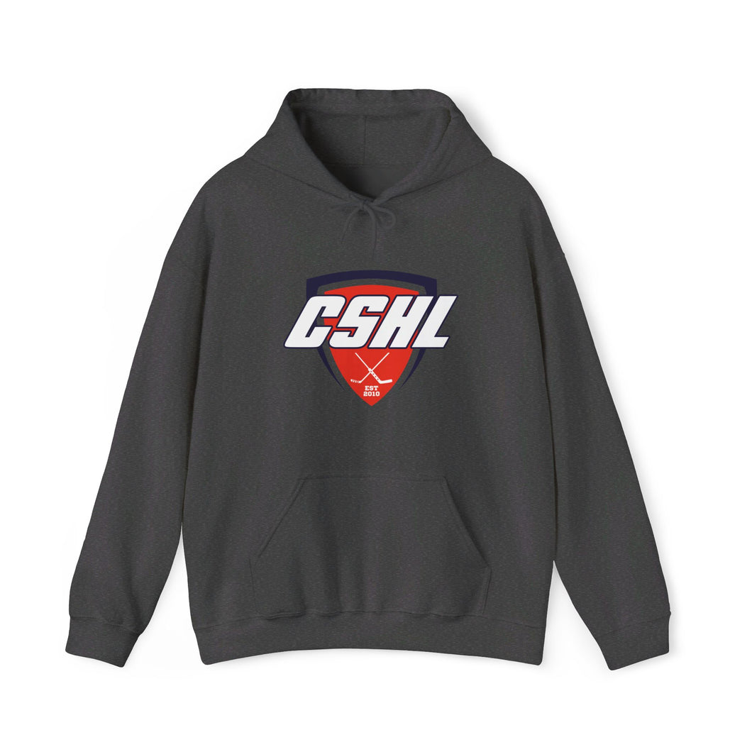 Unisex Heavy Blend™ Hooded Sweatshirt CSHL