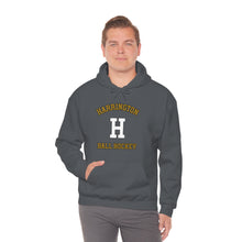 Heavy Blended Hoodie -  Harrington MS