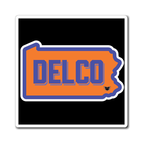 Magnets -Delco Phantoms