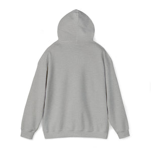Unisex Heavy Blend™ Hooded Sweatshirt CW Lewis