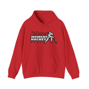 ICE HOUSE  Unisex Hooded Sweatshirt