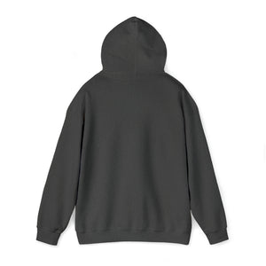 Unisex Heavy Blend™ Hooded Sweatshirt ARSENAL