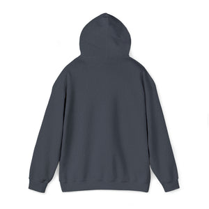 Unisex Heavy Blend™ Hooded Sweatshirt VZ