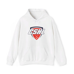 Unisex Heavy Blend™ Hooded Sweatshirt CSHL