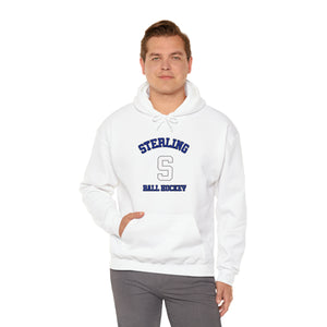 Fan Gear Hoodie - STERLING