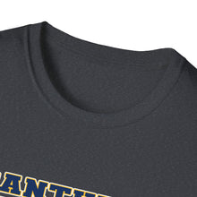 Unisex Softstyle T-Shirt - Franklin Regional Devo Panthers Ice Hockey