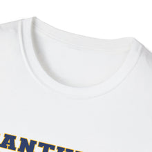 Unisex Softstyle T-Shirt - Franklin Regional Devo Panthers Ice Hockey