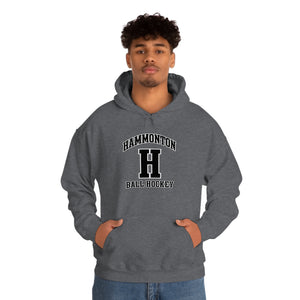 Hooded Sweatshirt - Hammonton