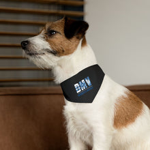 DMV Pet Bandana Collar