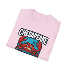 Baymen  Unisex Softstyle T-Shirt