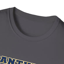 Unisex Softstyle T-Shirt - Franklin Regional Devo Panthers Ice Hockey