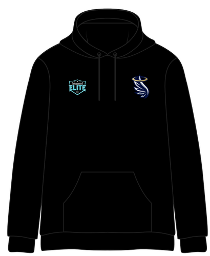 Angels Hoodie (cotton/stitched)