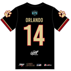 Hyenas Jersey (2 color options)