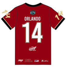 Hyenas Jersey (2 color options)