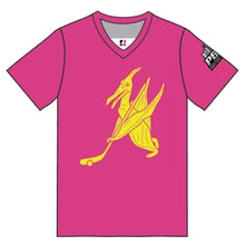 Pink Pterodactyls Jersey - PBH